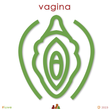 w00097_01 vagina