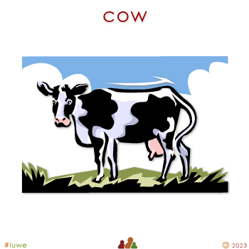 w00184_02 cow