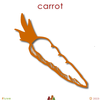 w00363_01 carrot