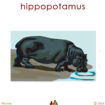 w00331_01 hippopotamus