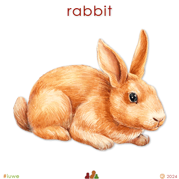 w00519_01 rabbit