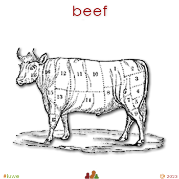 w00631_02 beef