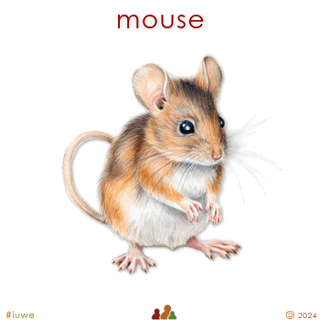 w00372_01 mouse