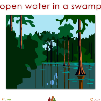 w02494_01 open water in a swamp