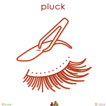 z32189_01 pluck