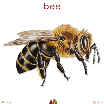 w00471_01 bee