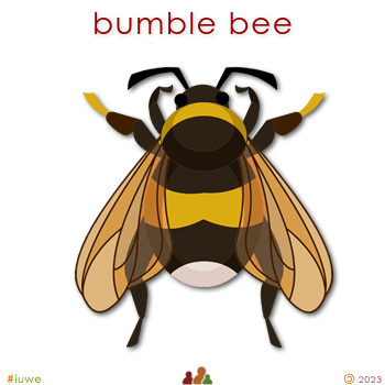 w03240_01 bumble bee