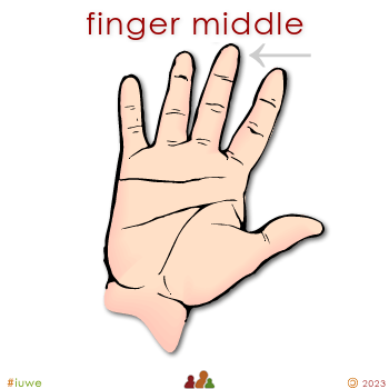 w01531_01 finger middle