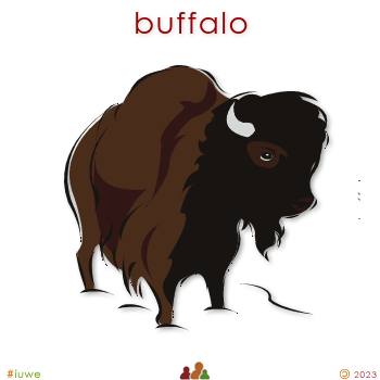 w00474_01 buffalo