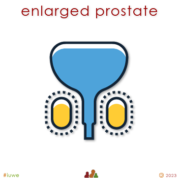 w32959_01 enlarged prostate
