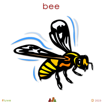 w00471_02 bee