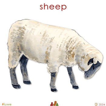 w00329_01 sheep