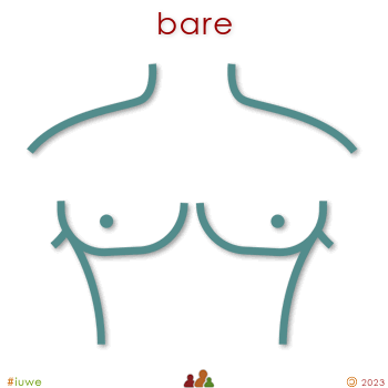 w30536_01 bare