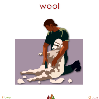 w00900_01 wool