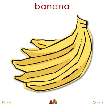 w00874_01 banana