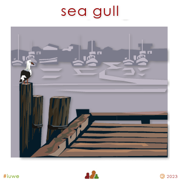 w01423_01 sea gull
