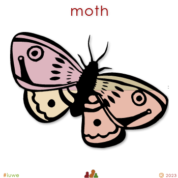 w00464_01 moth