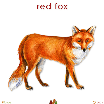 w33959_01 red fox