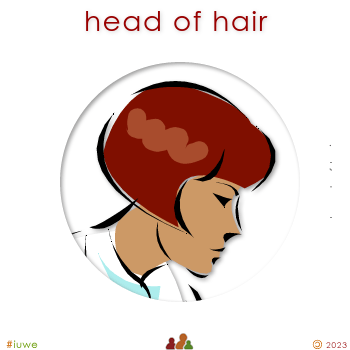 w00937_01 head of hair