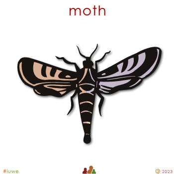 w00464_02 moth