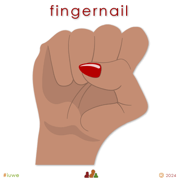 w33993_01 fingernail