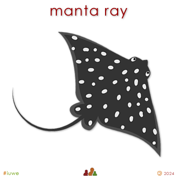 w33960_01 manta ray