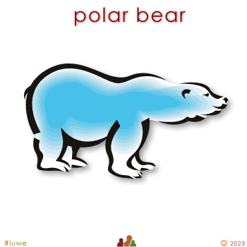 w00458_01 polar bear