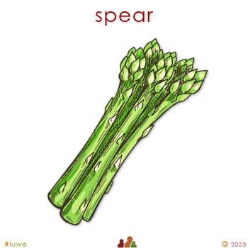 z32420_01 spear