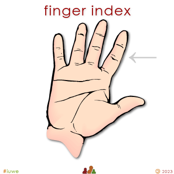 w01515_01 finger index