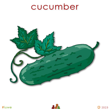 w02706_01 cucumber