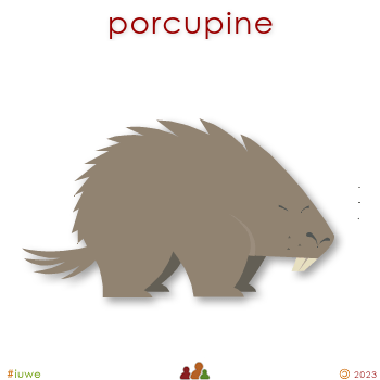 w00559_01 porcupine
