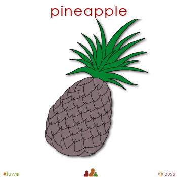 w02148_01 pineapple