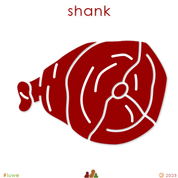 z32339_01 shank