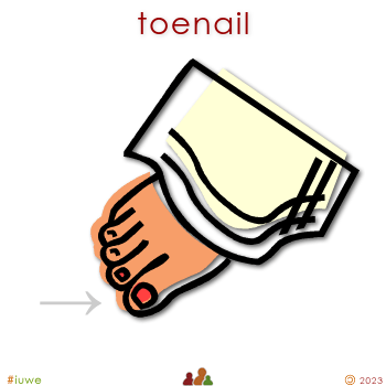 w01543_01 toenail