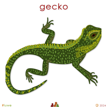 w33962_01 gecko