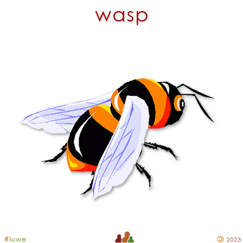 w01896_01 wasp