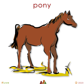 w00487_01 pony