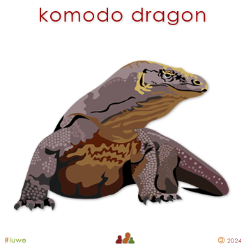 w33964_01 komodo dragon