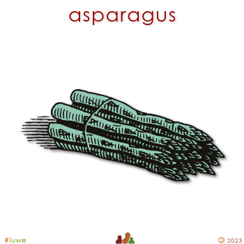 w02719_01 asparagus