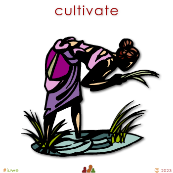 w03862_01 cultivate
