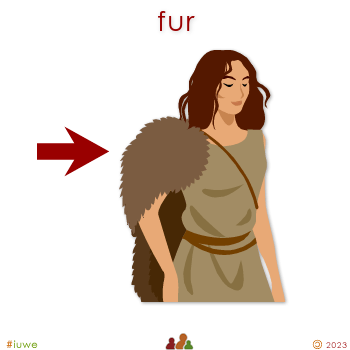 w30120_01 fur