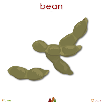 w02188_01 bean