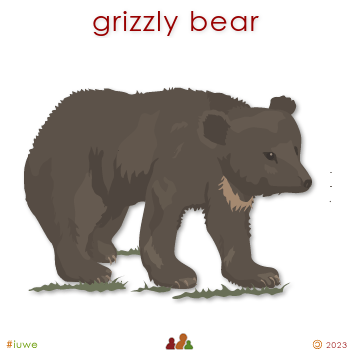 w00457_01 grizzly bear