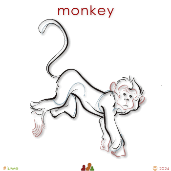 w00395_02 monkey