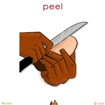 w31114_01 peel