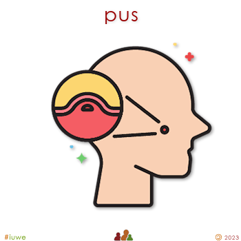 w30434_01 pus