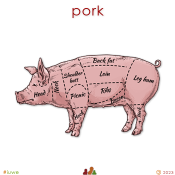 w31147_01 pork