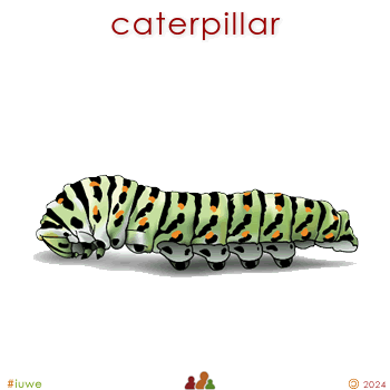 w00413_01 caterpillar