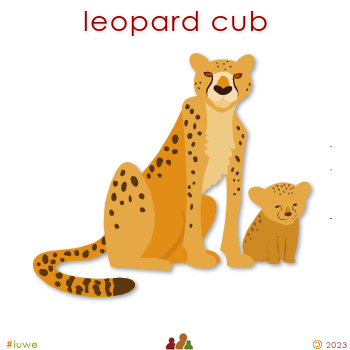 w01690_01 leopard cub