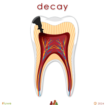 w33995_01 decay